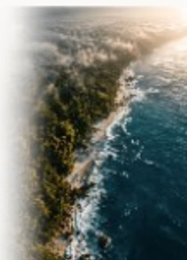 Aerial coastline meeting ocean and forest
